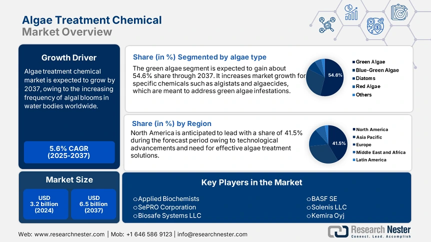 Algae Treatment Chemical Market Overview